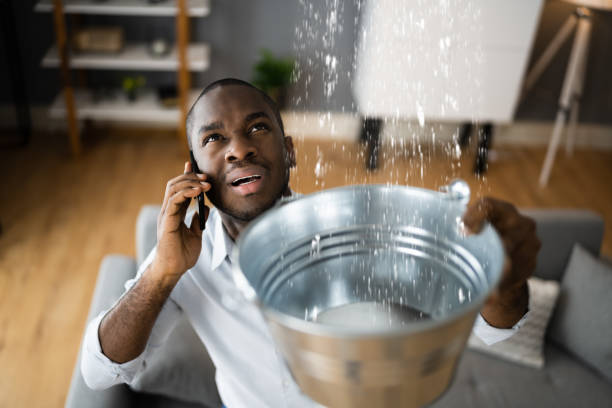 Best 24/7 water damage repair  in Centralia, MO