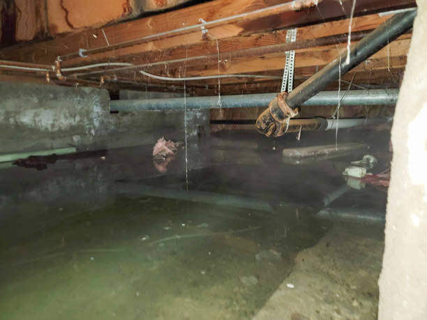 Best Commercial water damage restoration  in Centralia, MO