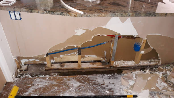 Best Carpet water damage restoration  in Centralia, MO