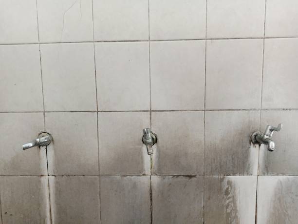 Best Water damage cleanup near me  in Centralia, MO