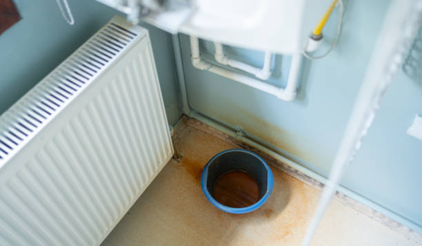 Best Water damage restoration near me  in Centralia, MO