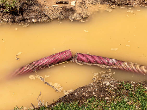 Best Basement water damage restoration  in Centralia, MO